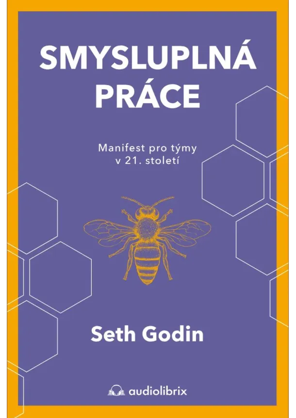 Seth Godin - Smysluplná práce - Manifest pro týmy v 21. století