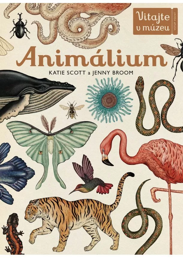 Katie Scott, Jenny Broom - Animálium - Preskúmajte ríšu zvierat v celej jej nádhere!