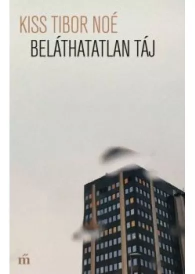 Beláthatatlan táj