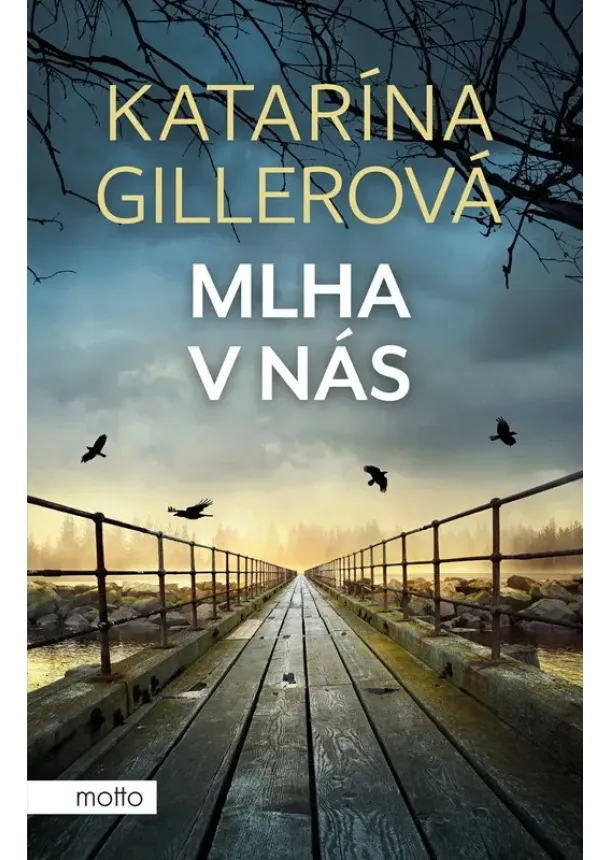 Katarína Gillerová - Mlha v nás