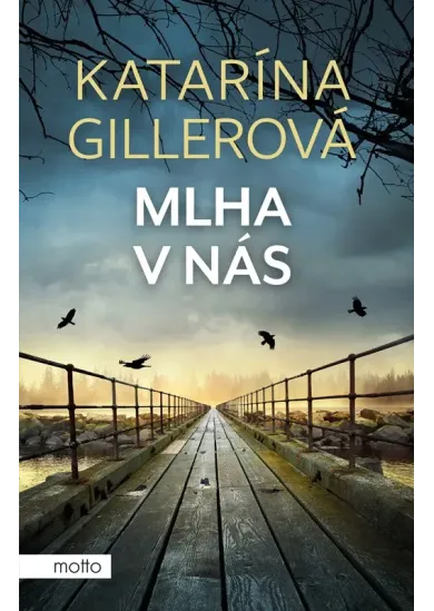 Mlha v nás