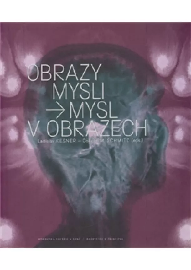 Ladislav Kesner, Colleen M. Schmitz a kol. - Obrazy mysli / Mysl v obrazech