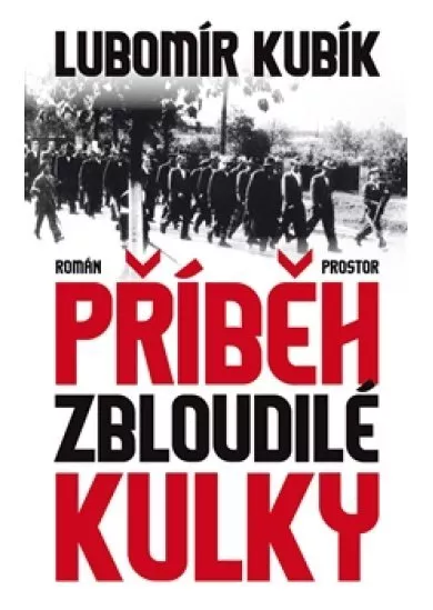 Příběh zbloudilé kulky