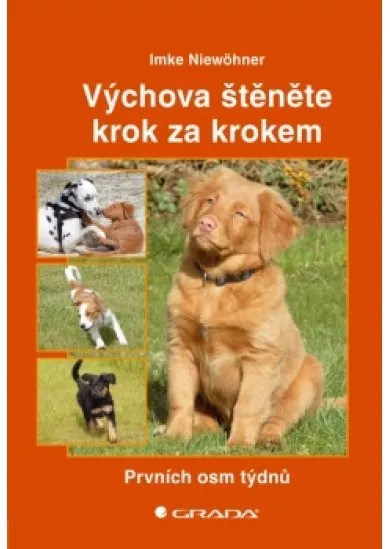 Výchova štěněte krok za krokem - Prvních osm týdnů