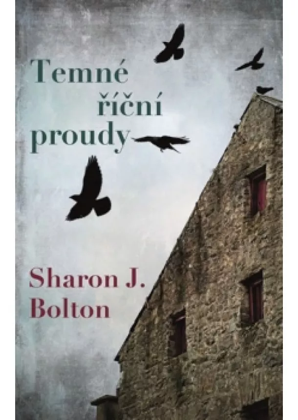 Sharon J. Bolton - Temné říční proudy