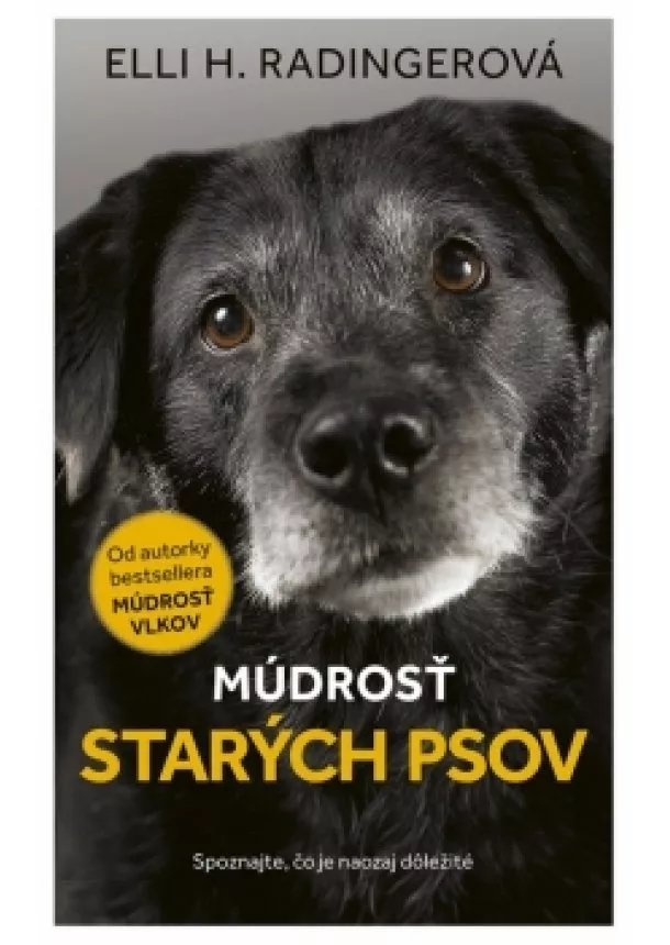 Elli H. Radingerová - Múdrosť starých psov