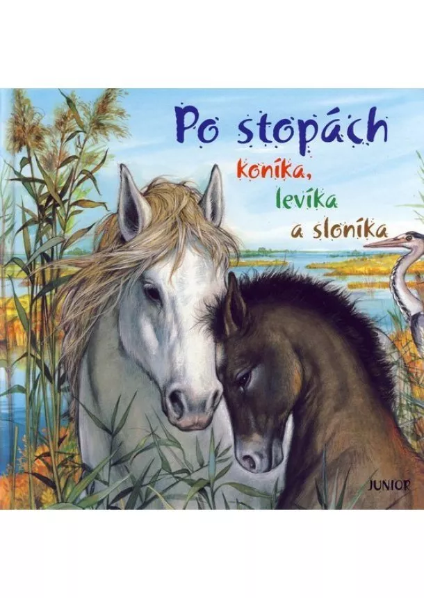 Kolektív - Po stopách koníka, levíka a sloníka