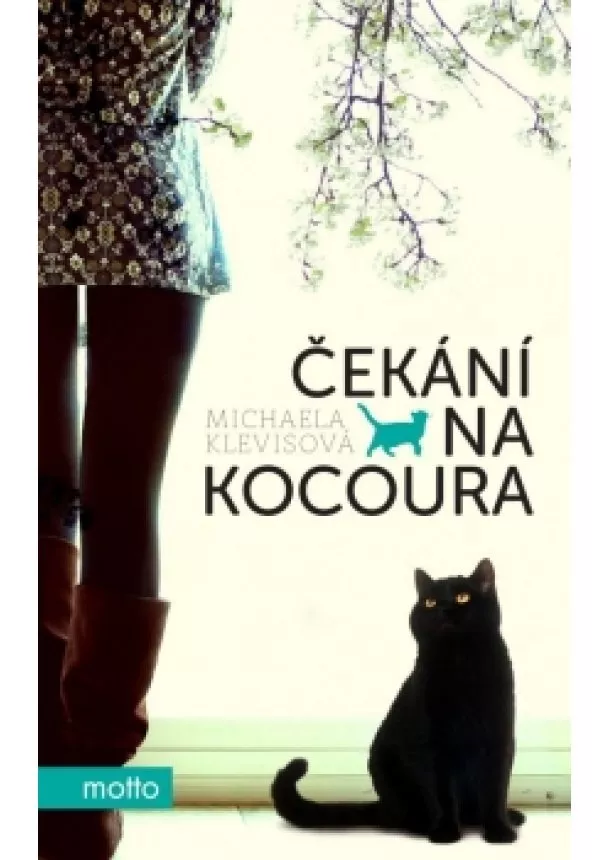 Michaela Klevisová - Čekání na kocoura