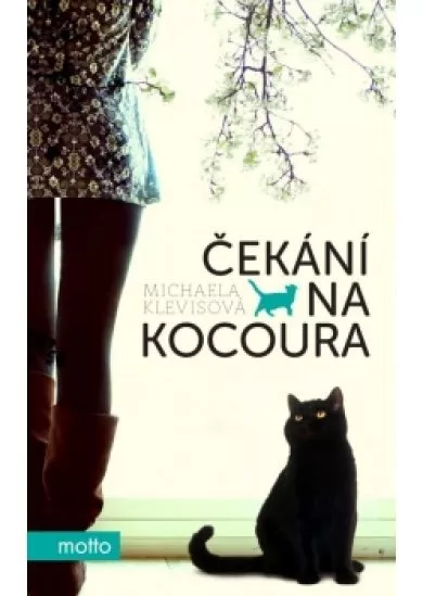 Čekání na kocoura