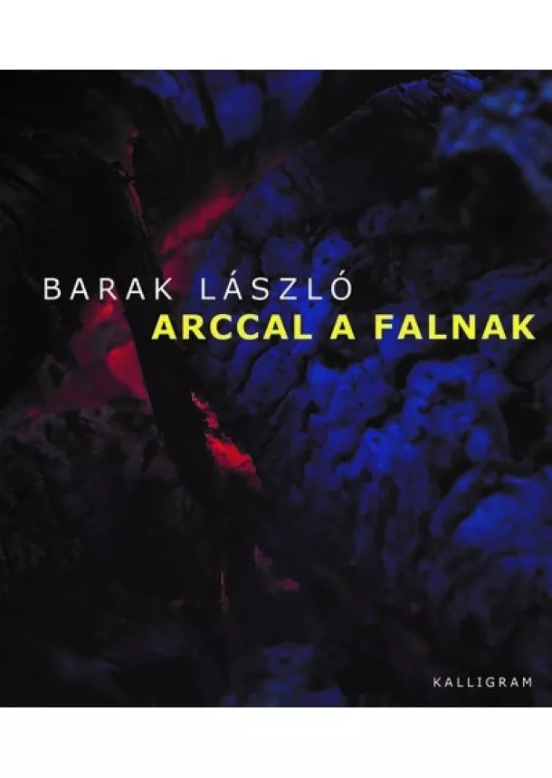 Barak László - Arccal a falnak