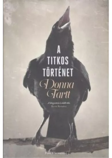 A TITKOS TÖRTÉNET