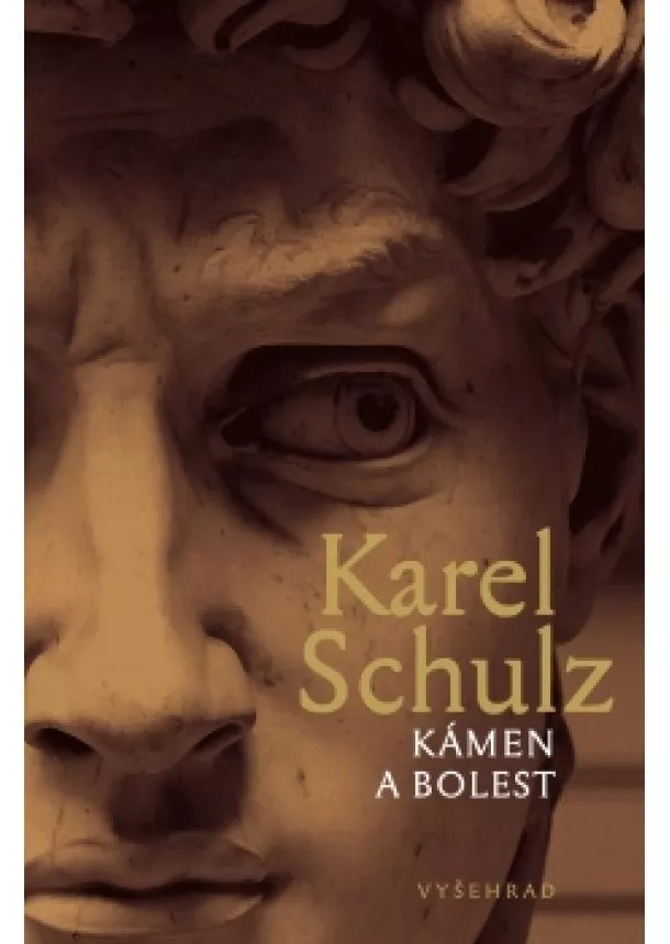 Karel Schulz - Kámen a bolest