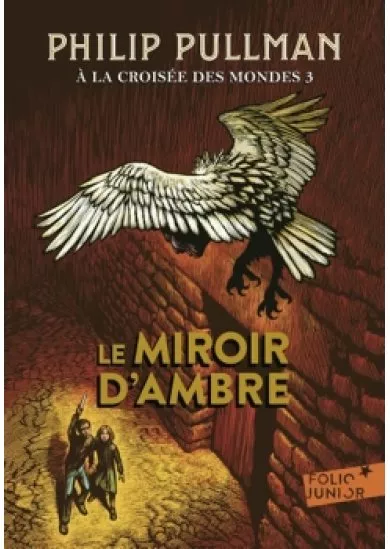 A la croisée des mondes 3 : Le Miroir d´ambre 