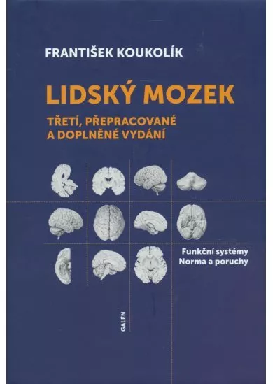 Lidský mozek