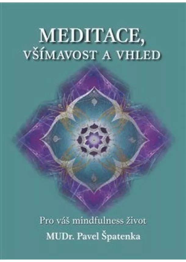 Pavel Špatenka - Meditace, všímavost a vhled