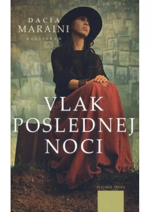 Dacia Maraini - Vlak poslednej noci