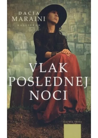 Vlak poslednej noci