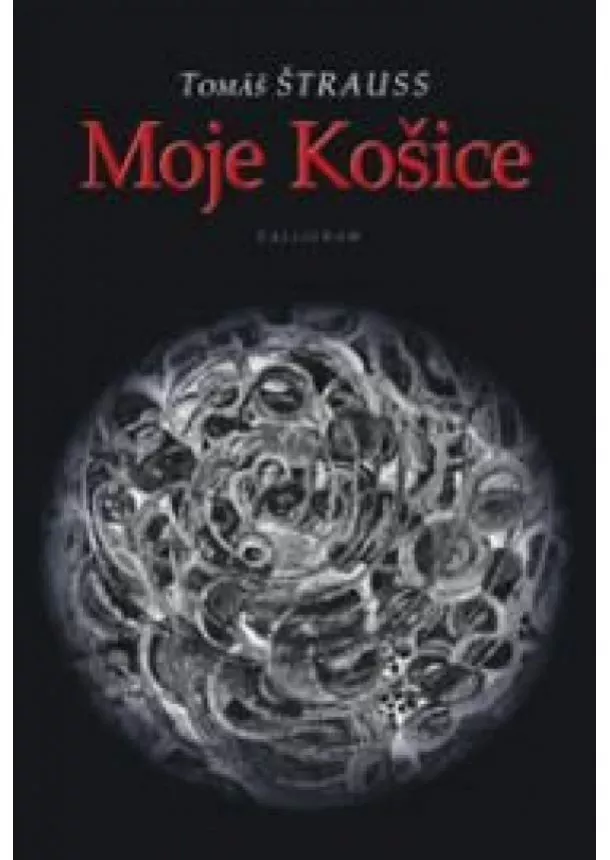 Tomáš Štrauss - Moje Košice