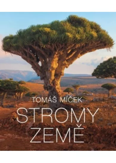 Stromy Země