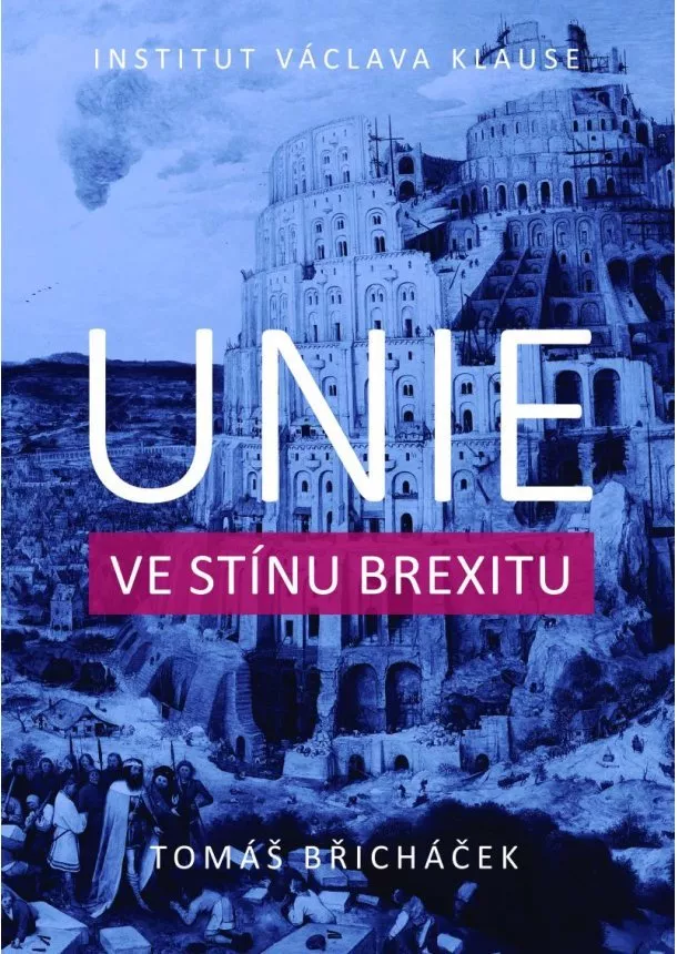 Tomáš Břicháček - Unie ve stínu brexitu