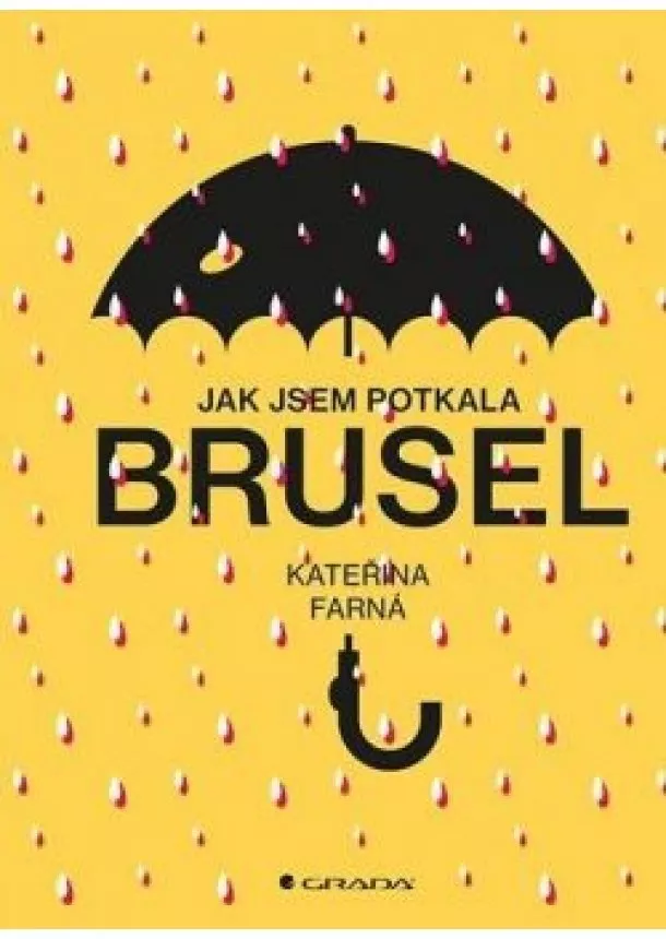 Farná Kateřina - Jak jsem potkala Brusel