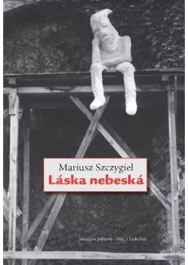 Mariusz Szczygieł - Láska nebeská