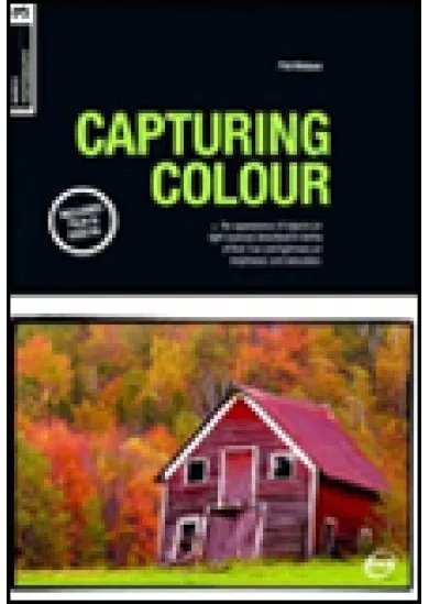 Basics Photography Capturing Colour