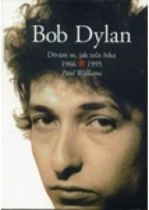 Paul Williams - Bob Dylan - Dívám se, jak teče řeka 1966-1995