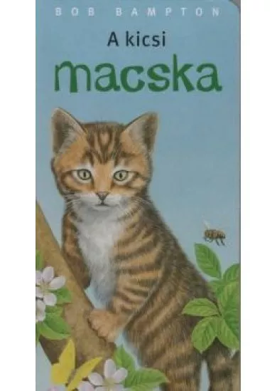 A kicsi macska