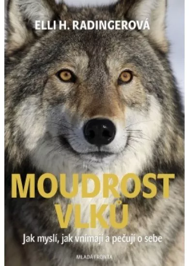 Moudrost vlků