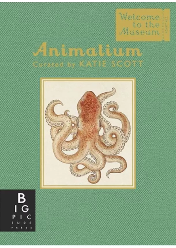 Jenny Broom - Animalium Mini Gift Edition