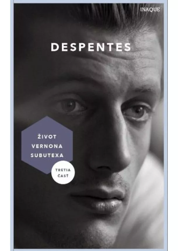 Virginie Despentes - Život Vernona Subutexa 3