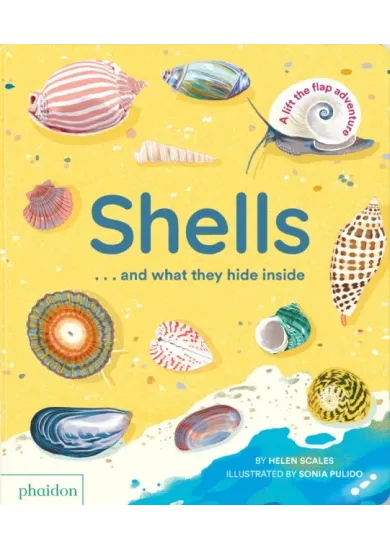 Shells... and what they hide inside