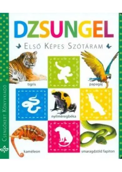 Dzsungel /Első képes szótáram