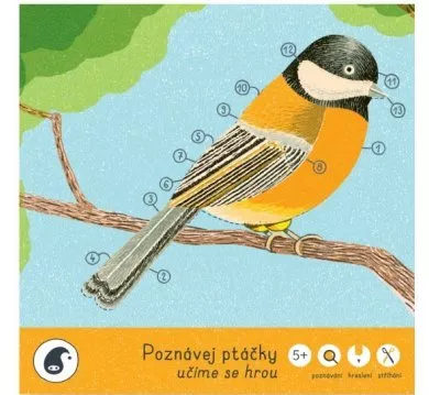 Poznávej ptáčky - učíme se hrou