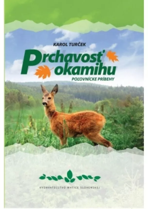 Karol Turček - Prchavosť okamihu