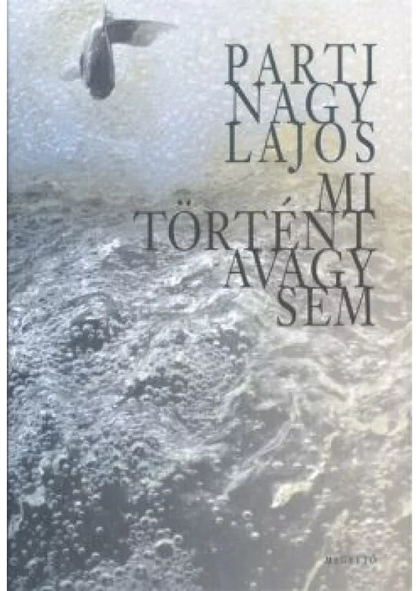 Parti Nagy Lajos - Mi történt avagy sem