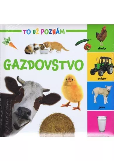 Gazdovstvo