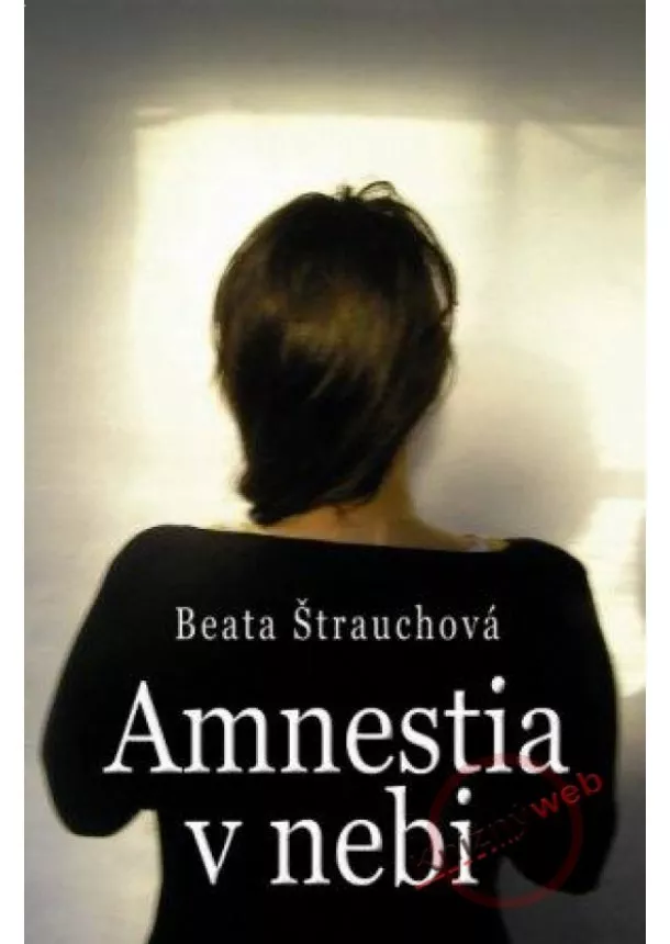 Beata Štrauchová - Amnestia v nebi