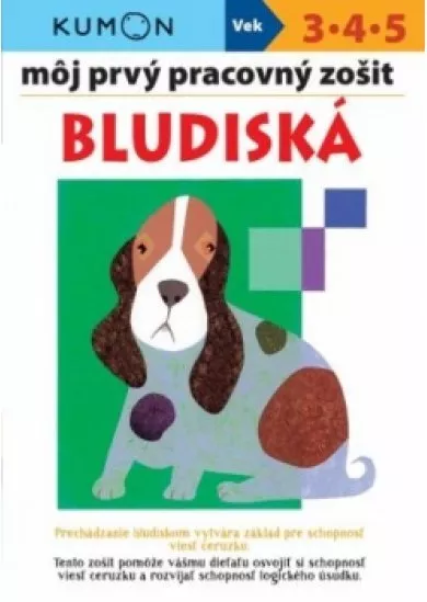 Bludiská - môj prvý pracovný zošit