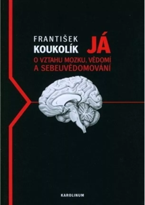 František Koukolík - Já. O vztahu mozku, vědomí a sebeuvědomování