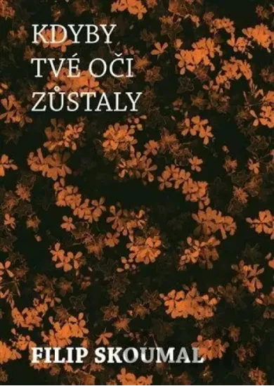 Kdyby tvé oči zůstaly