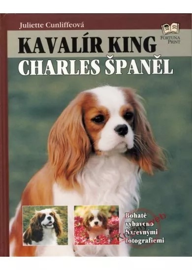 Kavalír king Charles španěl