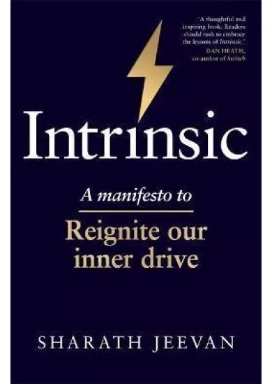 Intrinsic : A manifesto to reignite our inner drive