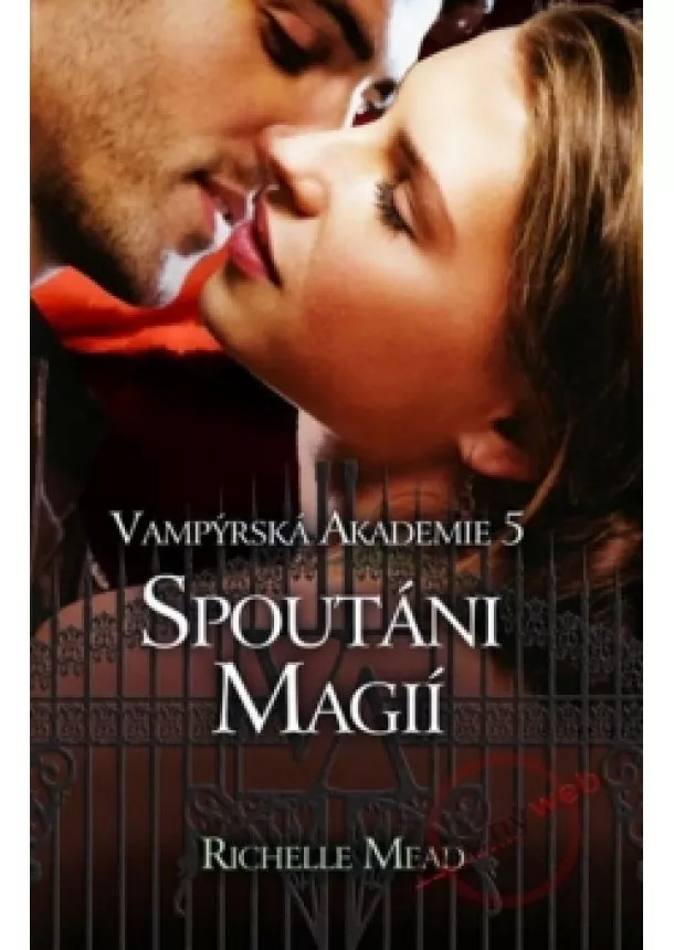 Richelle Mead - Vampýrská akademie 5 - Spoutáni magií