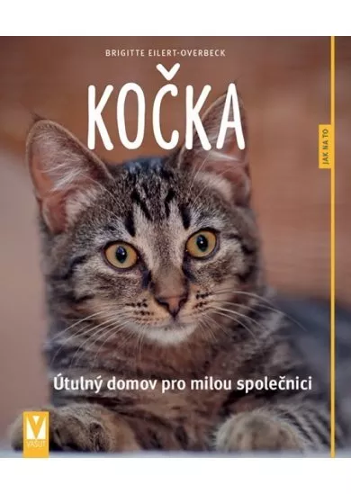 Kočka