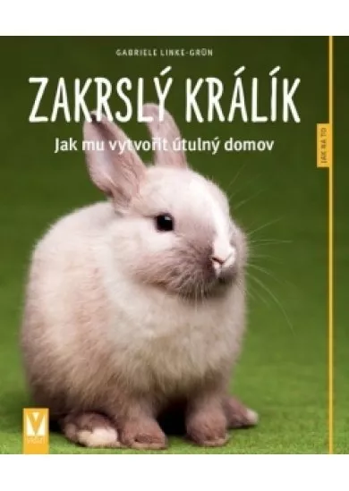 Zakrslý králík – Jak mu vytvořit útulný domov