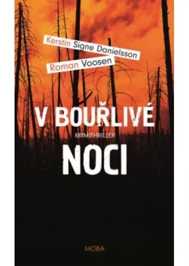 V bouřlivé noci