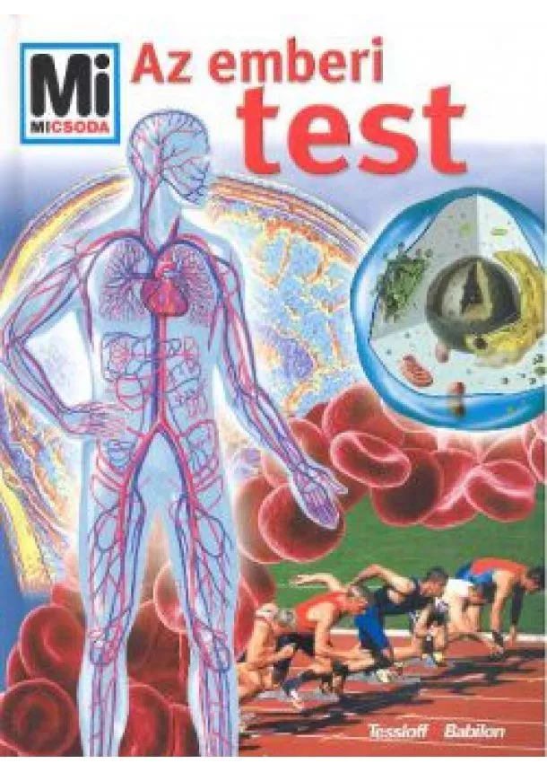 Mi Micsoda Sorozat - AZ EMBERI TEST /MI MICSODA 91.