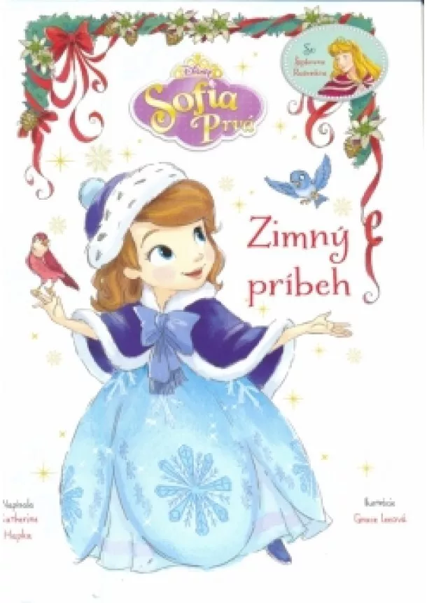 Walt Disney - Sofia Prvá - Zimný príbeh - so Šípkovou Ruženkou